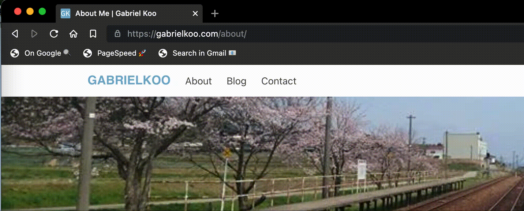Run Google PageSpeed Insights for current page